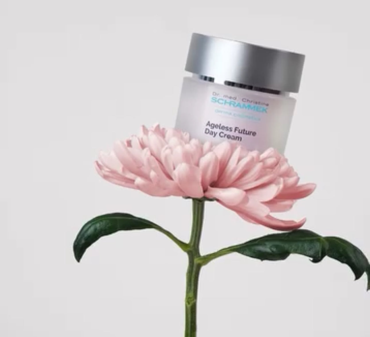 MOMENTS OF CARE
ENERGY CARE SET